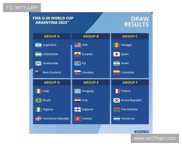 2023年世界杯比赛结果公布,冠军归属揭晓