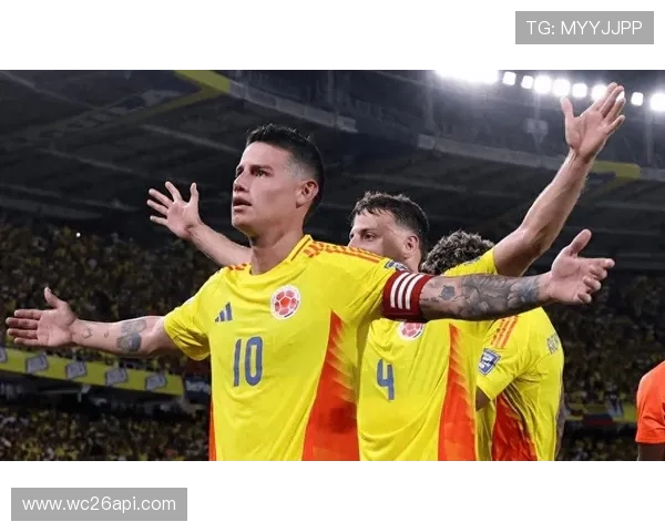 2026世界杯预选赛南美区各队晋级形势分析与预测 2026世界杯预选赛南美区各队晋级形势分析与预测