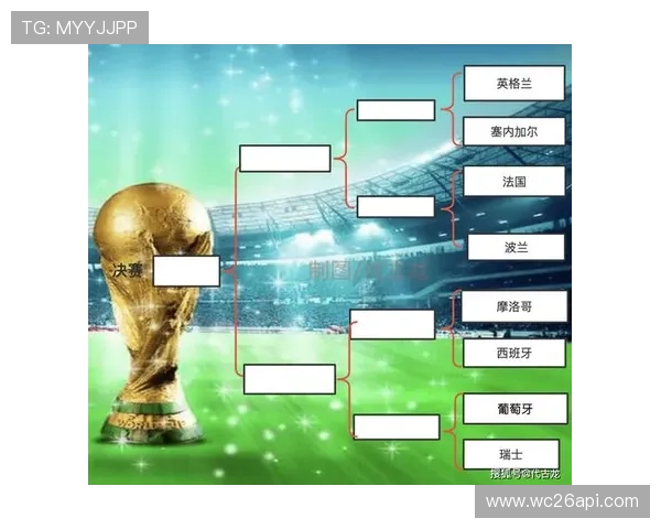 世界杯各州名额分配原则详解及其影响因素分析